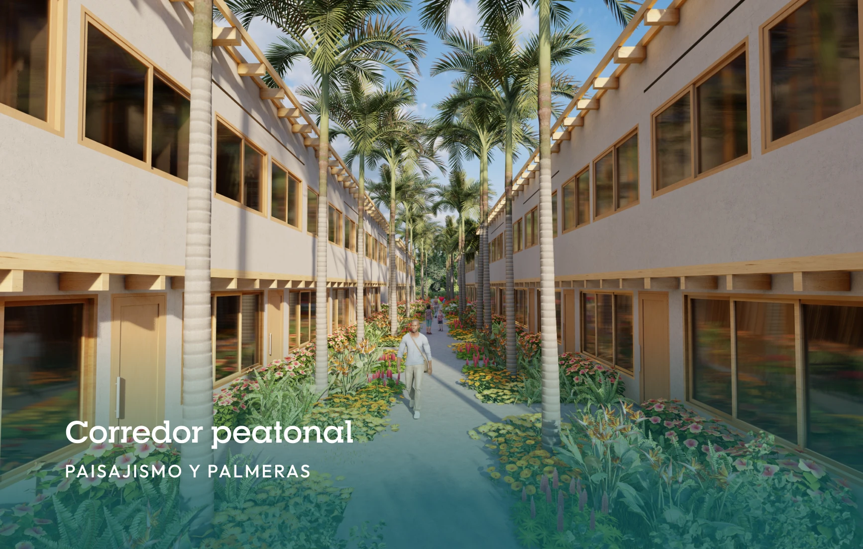 corredor-peatonal-palmeras-oasis-del-caribe-monitos